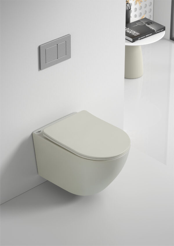 Wall-hung toilet Rimless dual-flush